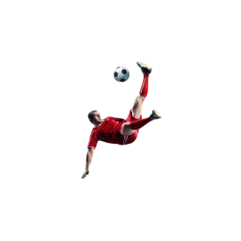 Sports & Outdoors (17)