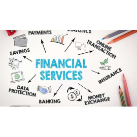 Financial & Insurance Services (0)
