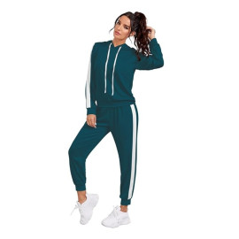 Women's Knitting Stretchable Solid Hooded Neck Full Sleeve blue Track Suit