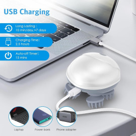 Ricuza Electric Head,Scalp Massager 